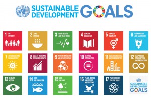 SDGs