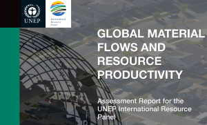 Global Material Flows and Resource Productivity