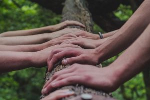 Hände berühren einen Baum