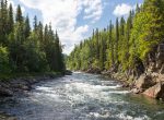 Flusslandschaft