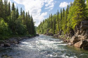 Flusslandschaft